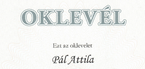 Pál Attila Coach Diploma - Elte